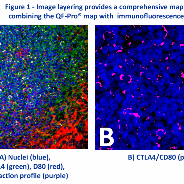 Successful Spatial Biology OEM Partnership