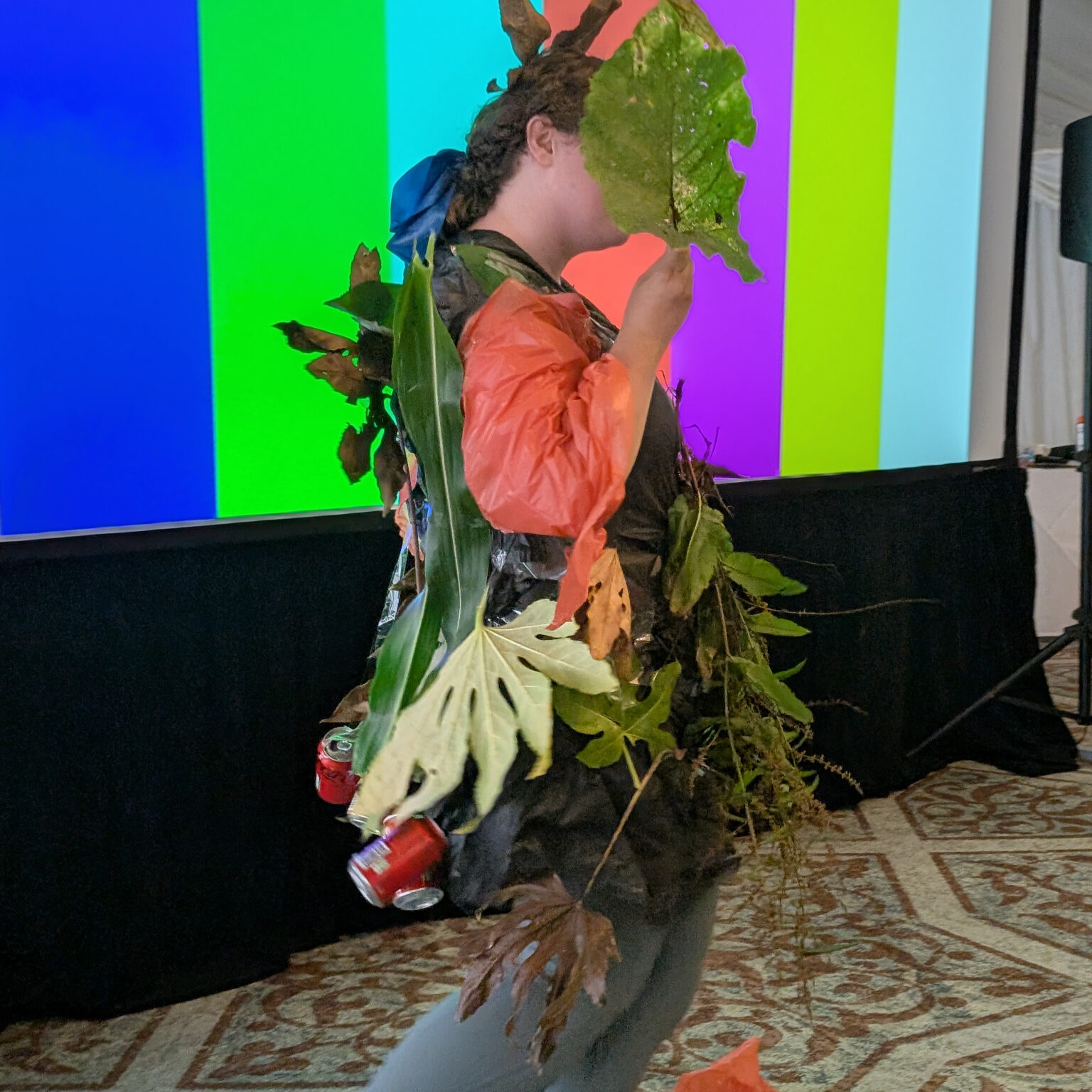 PXL 20250717 152227152