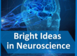 Bright Ideas in Neuroscience: How LEDs Are Powering the Next Breakthroughs