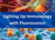 How Fluorescence Helps Us Understand the Immune System