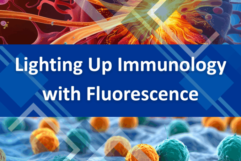 How Fluorescence Helps Us Understand the Immune System