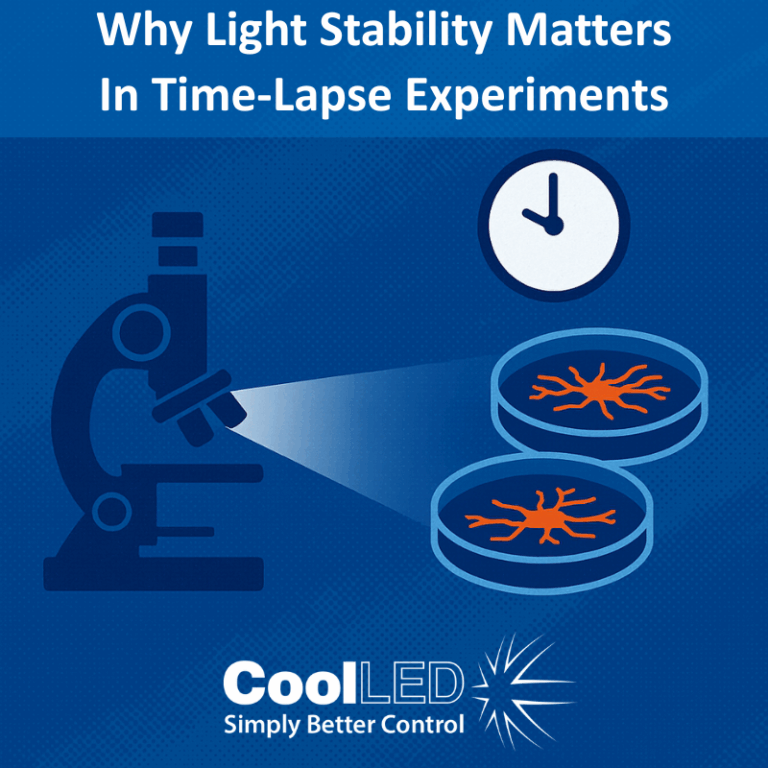 Why Light Stability Matters in Long Time-Lapse Experiments