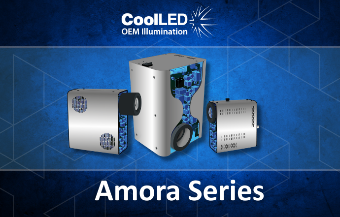 Copy of Amora Series rectangle