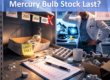 How Long Will Your Mercury Bulb Stock Actually Last?