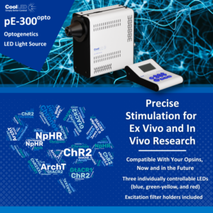 New pE-300<sup>opto</sup> launched!