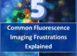 Is Your Light Source the Problem? 5 Common Fluorescence Imaging Frustrations Explained