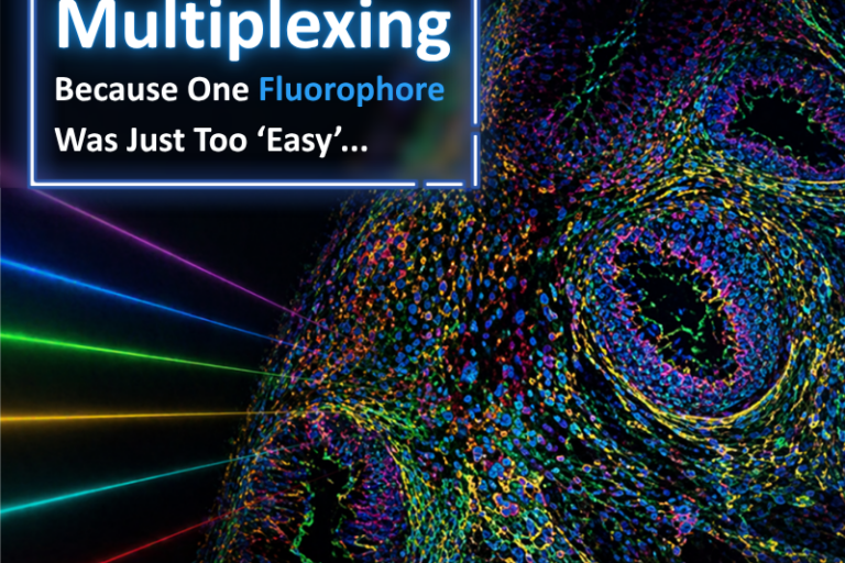 Multiplexing: Because One Fluorophore Was Too Easy