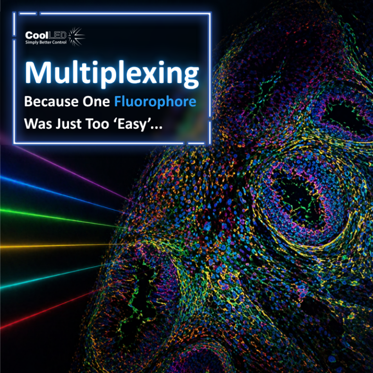 Multiplexing: Because One Fluorophore Was Too Easy