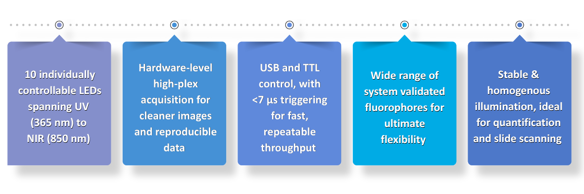 pE 10 Features strip segments