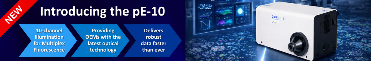 pE 10 website banner (1200 x 200 px) (2)