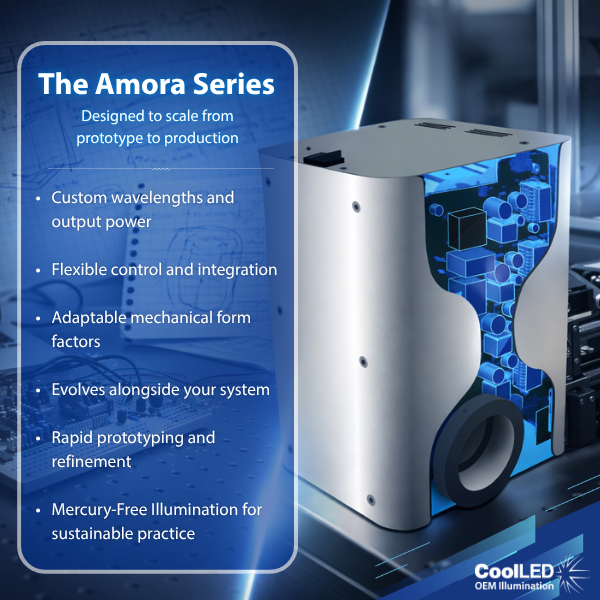 Copy of The Amora Series full benefits Copy of The Amora Series full benefits