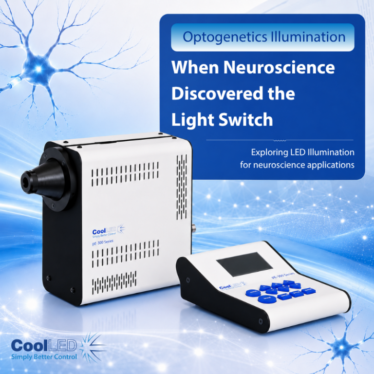 Optogenetics: when neuroscience discovered the light switch
