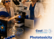 If You Think This Heatwave Is Bad, Try Being a Live Cell Under a Microscope…