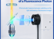 The Amazing Journey of a Fluorescence Photon