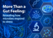 Science Snapshot: Revealing how microbes respond to stress