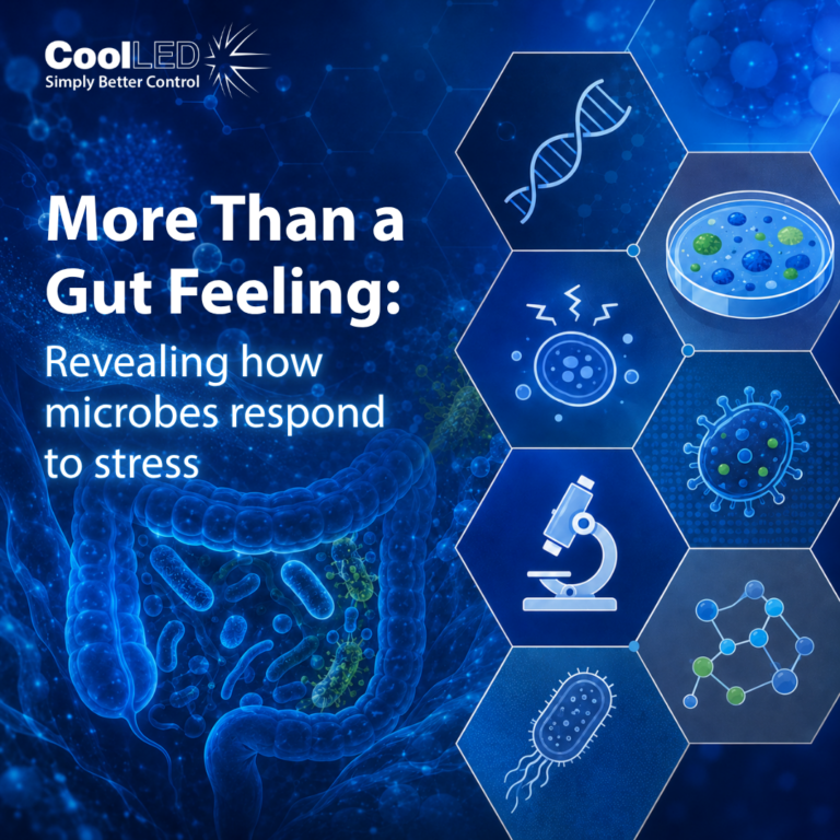 Science Snapshot: Revealing how microbes respond to stress