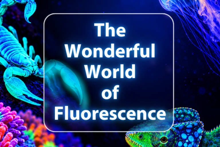 The wonderful world of fluorescence